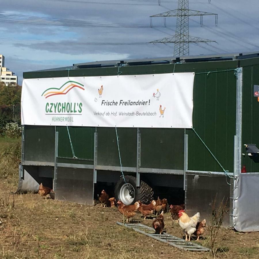 Ferienwohnungen Weinstadt Exterior foto